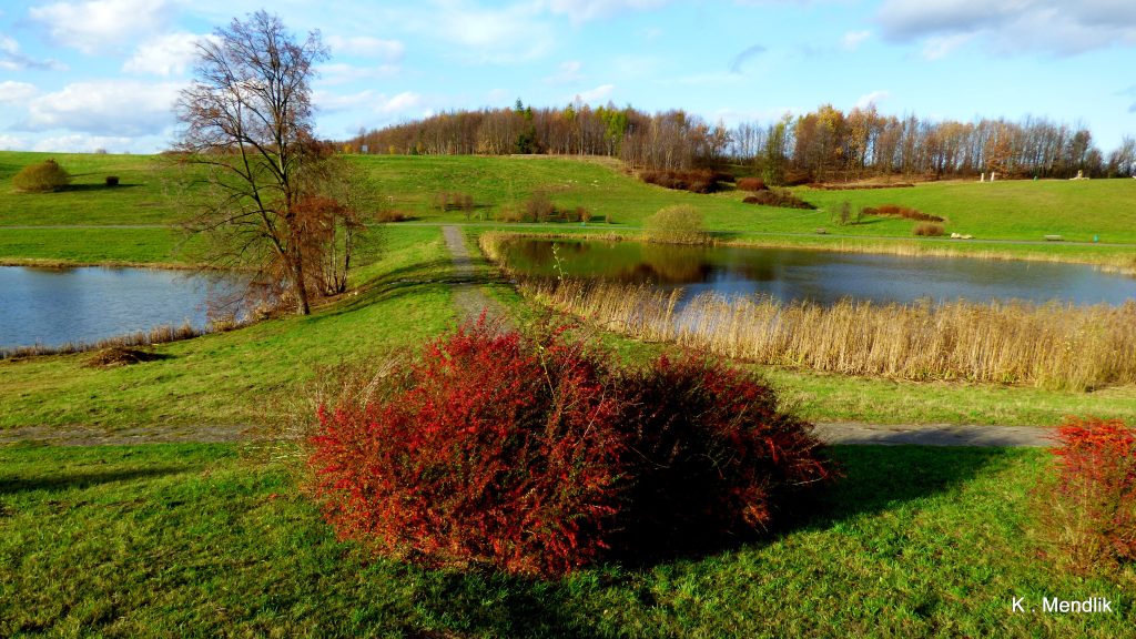 Bydgoszcz Myslecinek Park