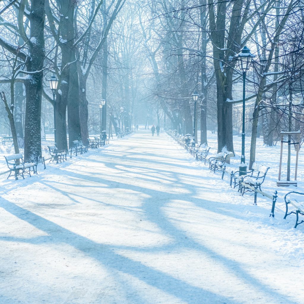 Krakow Planty Park